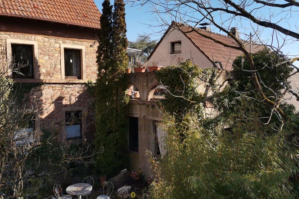 "Casita Linda "Am Donnersberg Dannenfels Exterior foto