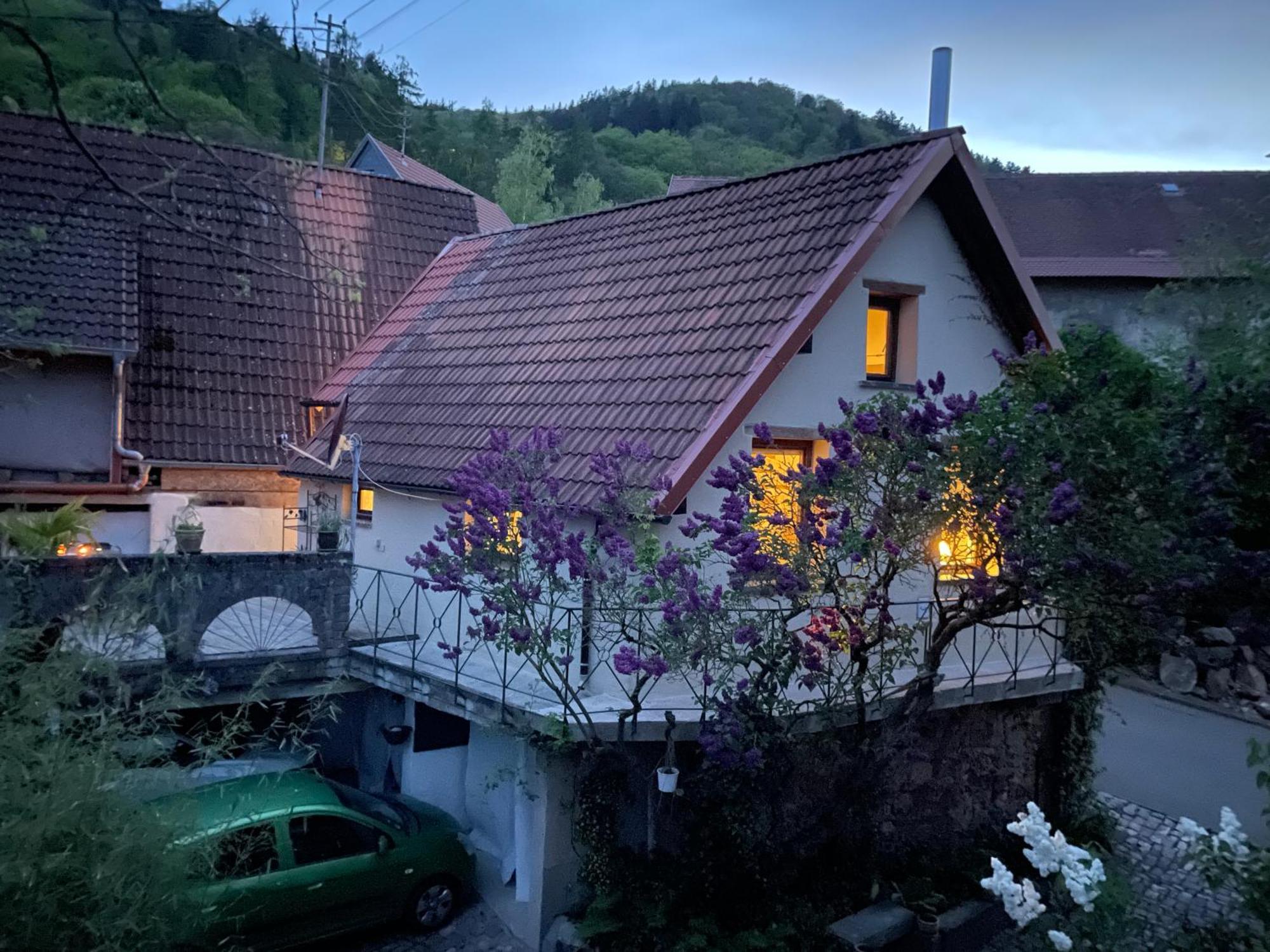 "Casita Linda "Am Donnersberg Dannenfels Exterior foto