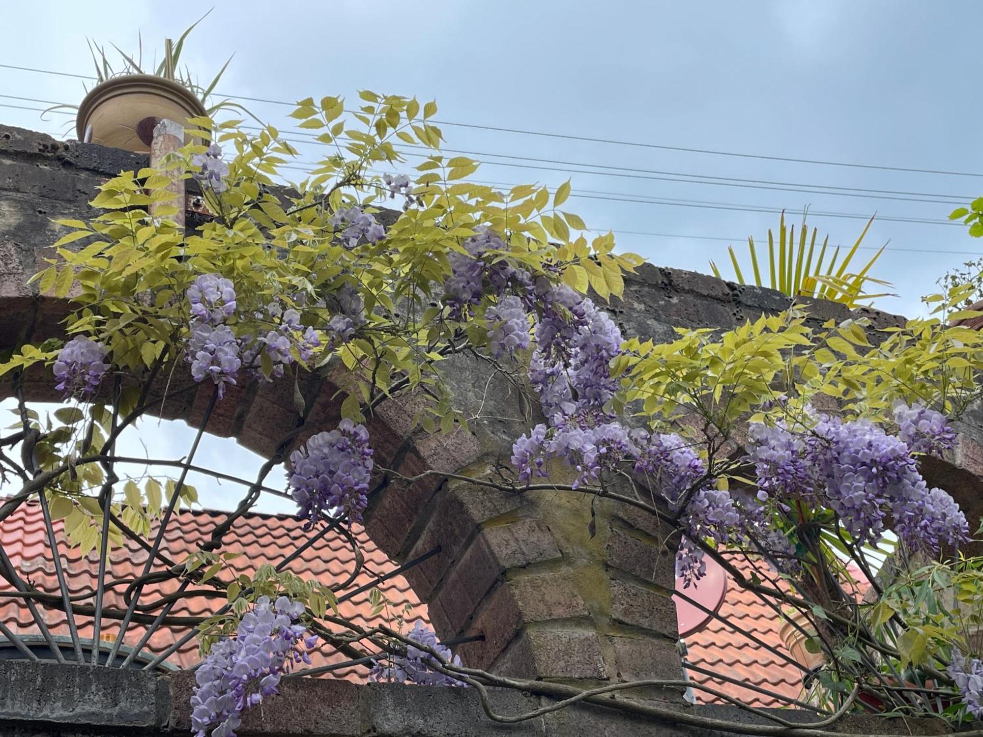 "Casita Linda "Am Donnersberg Dannenfels Exterior foto