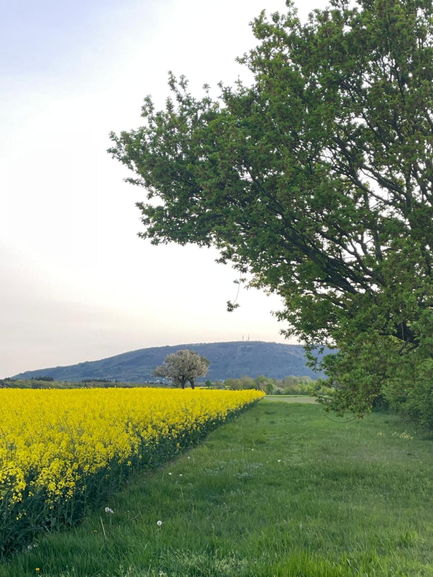 "Casita Linda "Am Donnersberg Dannenfels Exterior foto