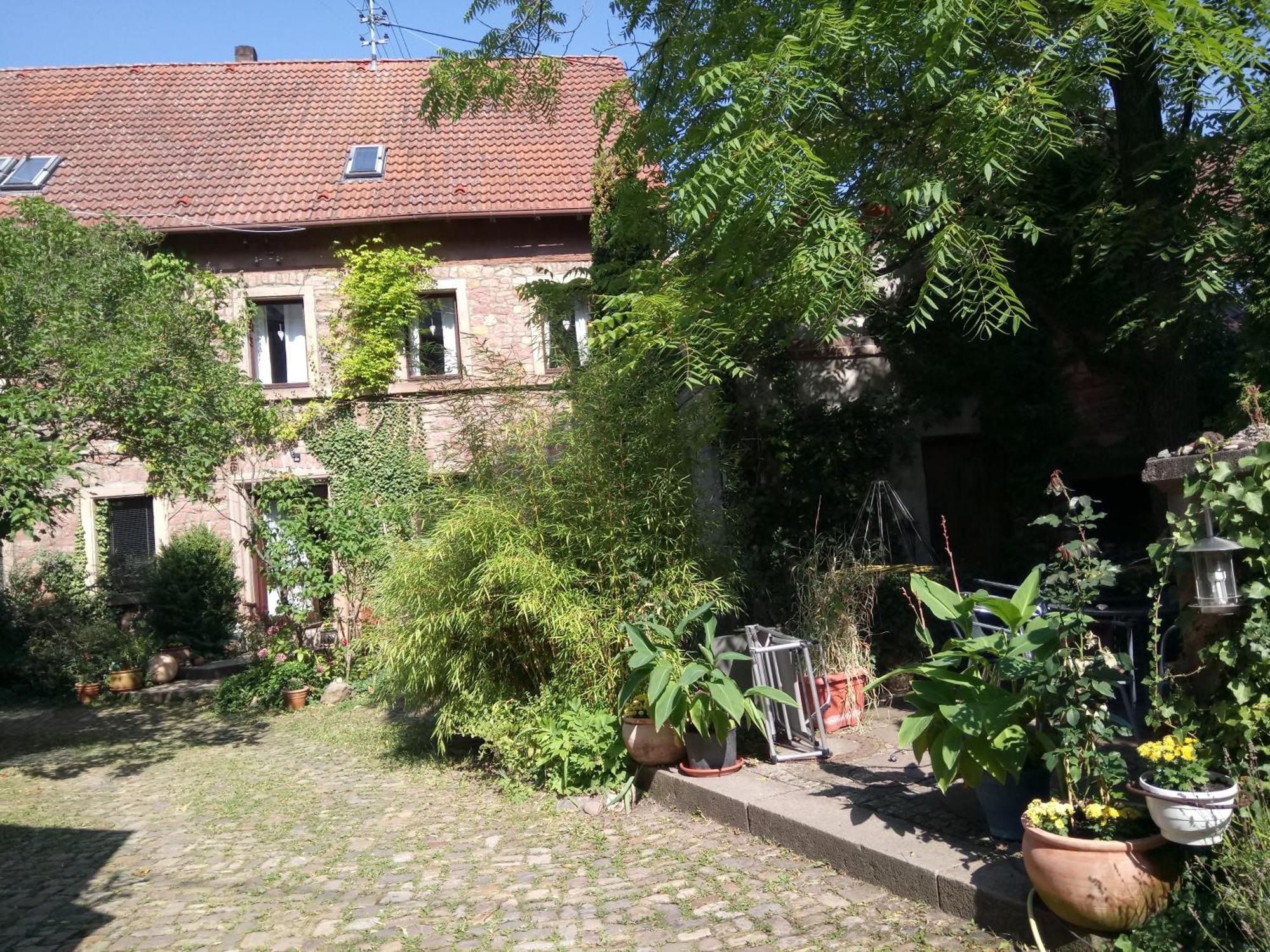 "Casita Linda "Am Donnersberg Dannenfels Exterior foto