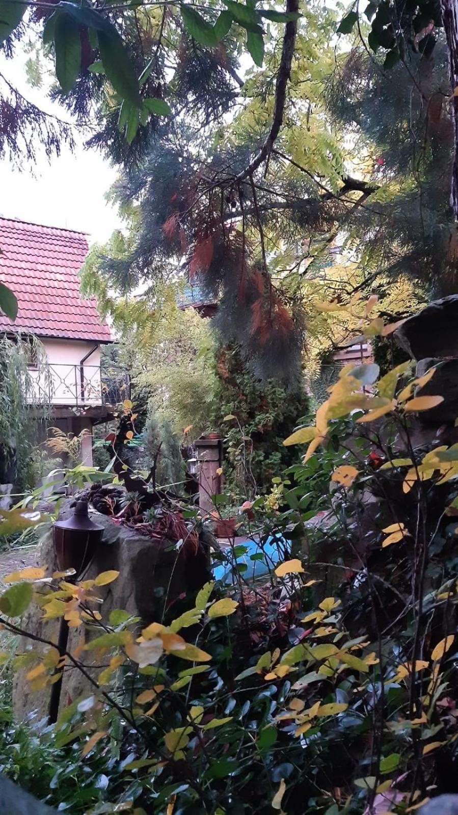 "Casita Linda "Am Donnersberg Dannenfels Exterior foto